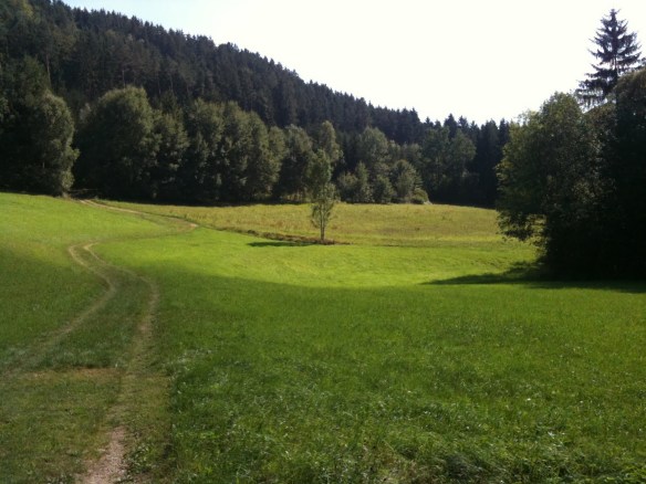 Im Tal der Kleinen Gusen