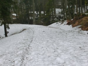 Kurz nach dem Parkplatz Oberschwarzenberg