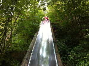 Riesenrutsche im Wald