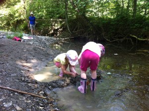 Staudammbau an der Freudenthaler Ache