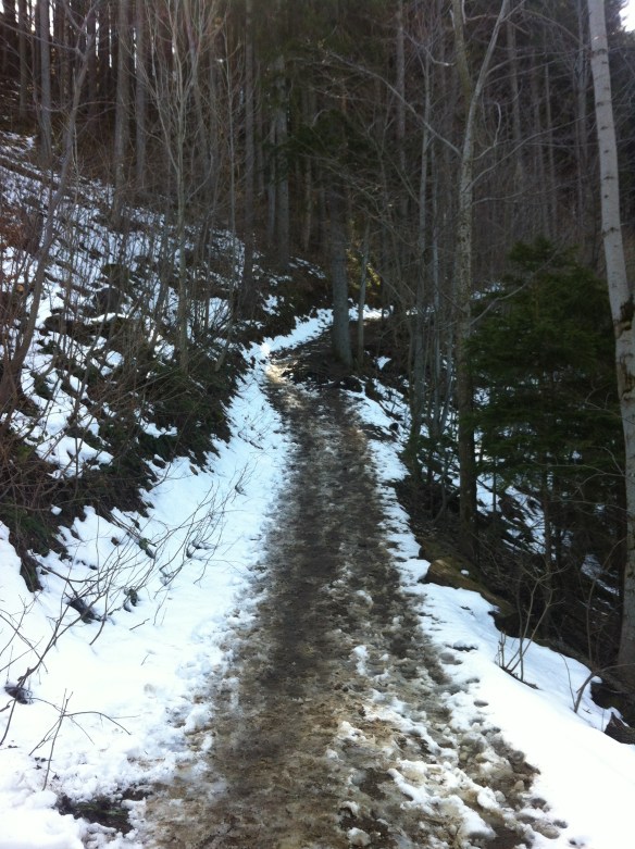 Waldweg mit Schneeresten