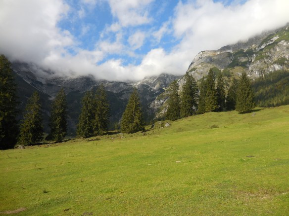 Wieder herunten in der Wengerau