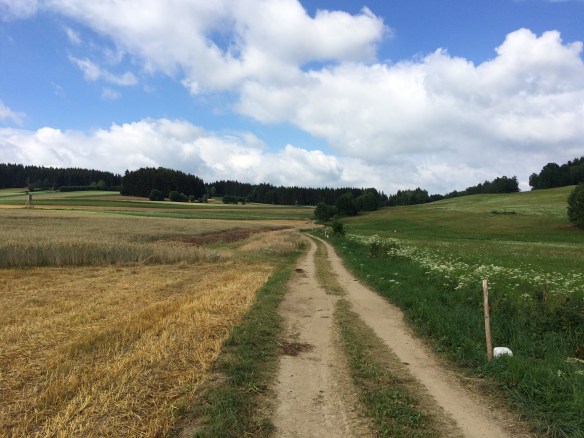 Wegverlauf direkt an der tschechischen Grenze