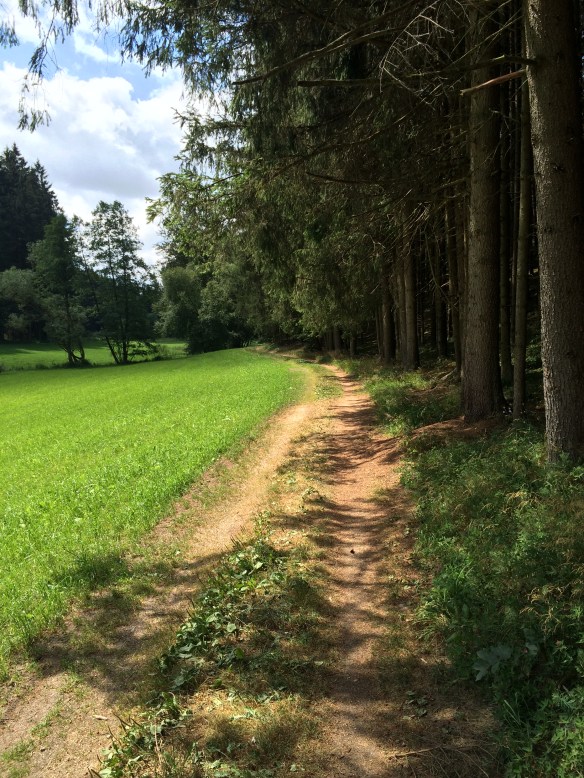 Idyllischer Wegverlauf am Waldrand