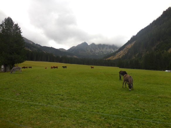 Start der Wanderung am Ende des Triebentals