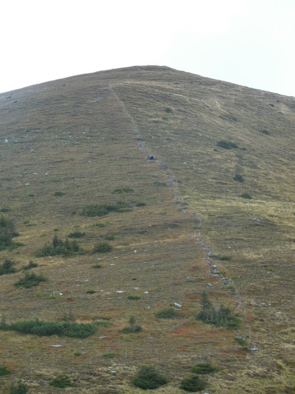 Aufstiegsweg zum Moarkogel