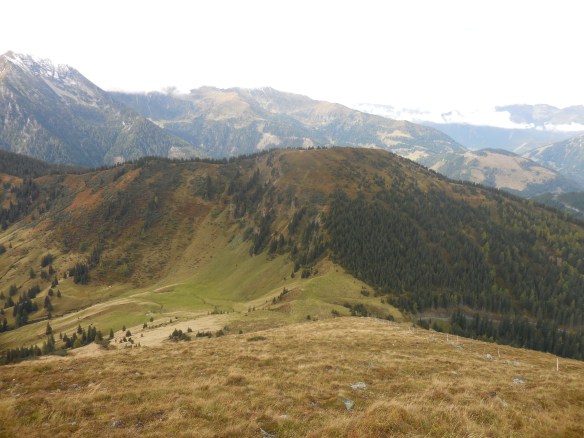 Beim Aufstieg zum Moarkogel - Blick hinüber zum Triebenfeldkogel