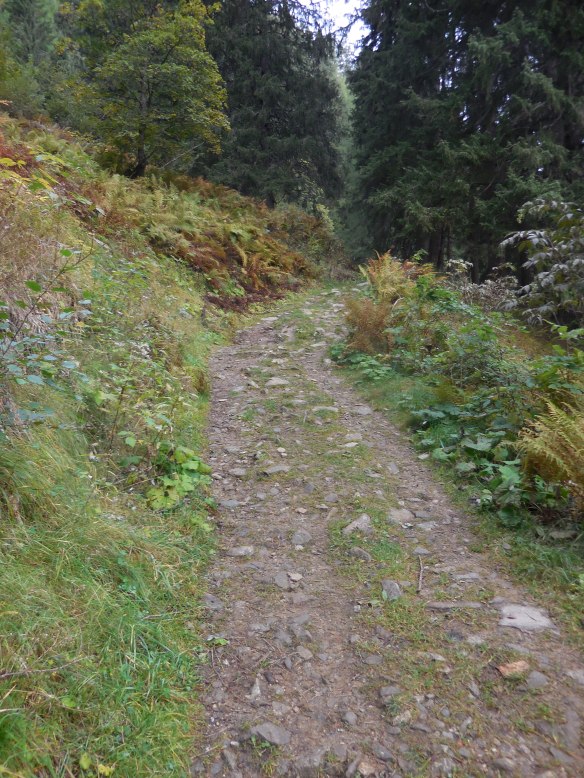 Wanderweg Richtung Rottenmanner Hütte
