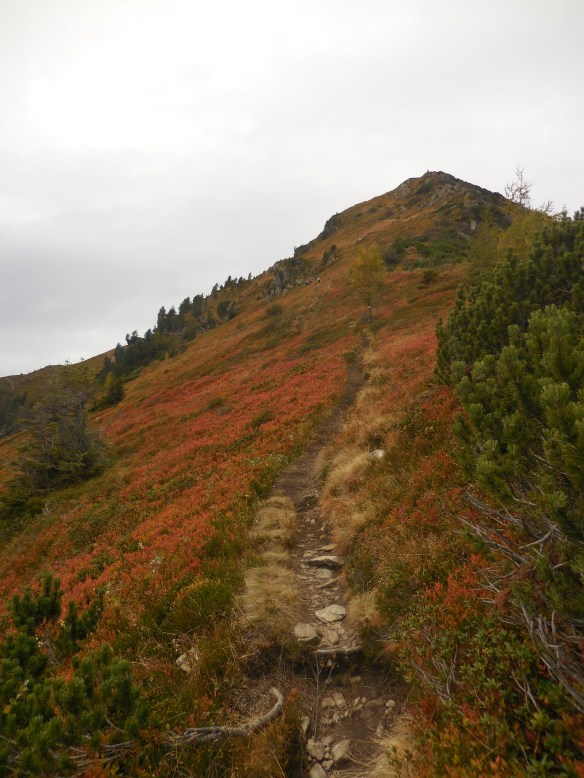 Unterhalb des Gipfels des 