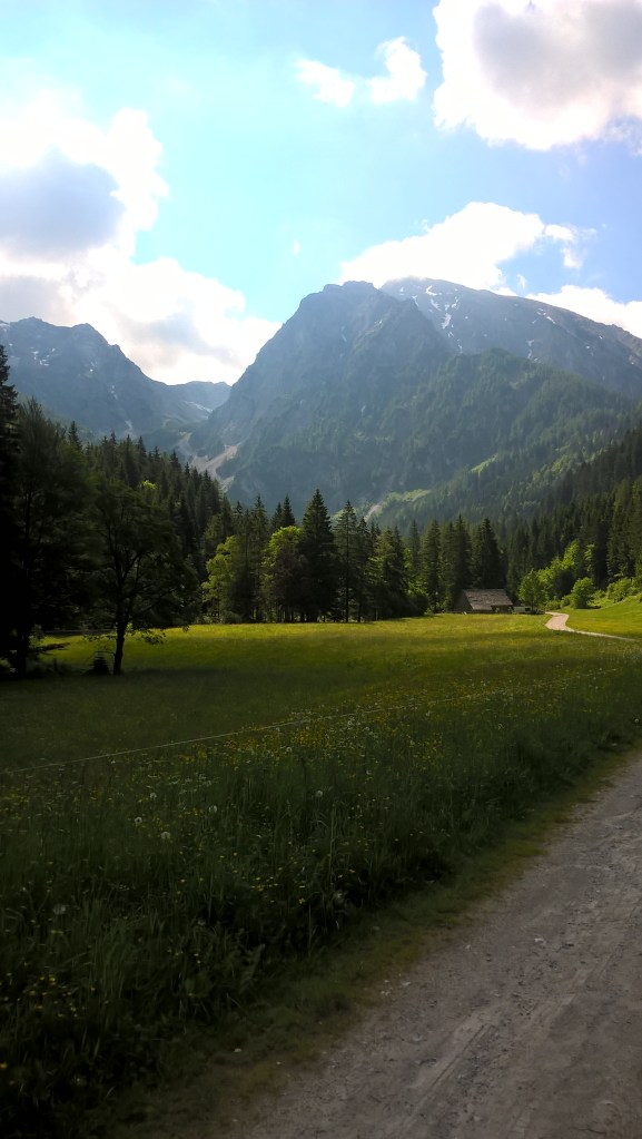 Blick zum Kleinen Pyhrgas